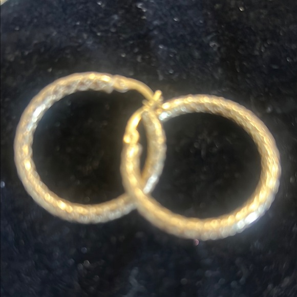 Elegant Gold Hoop Earrings - Picture 1 of 1